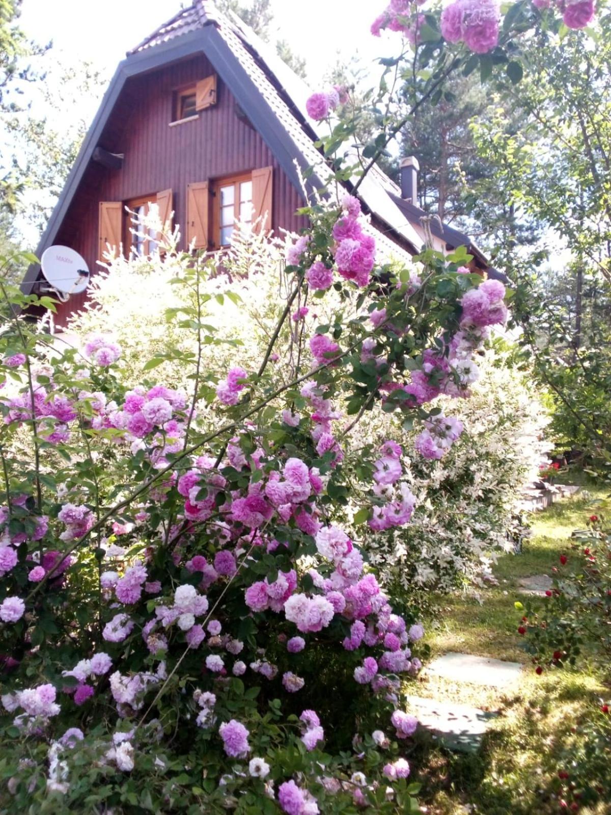 Plitvice Lakes Holiday Lodge Rudanovac Esterno foto